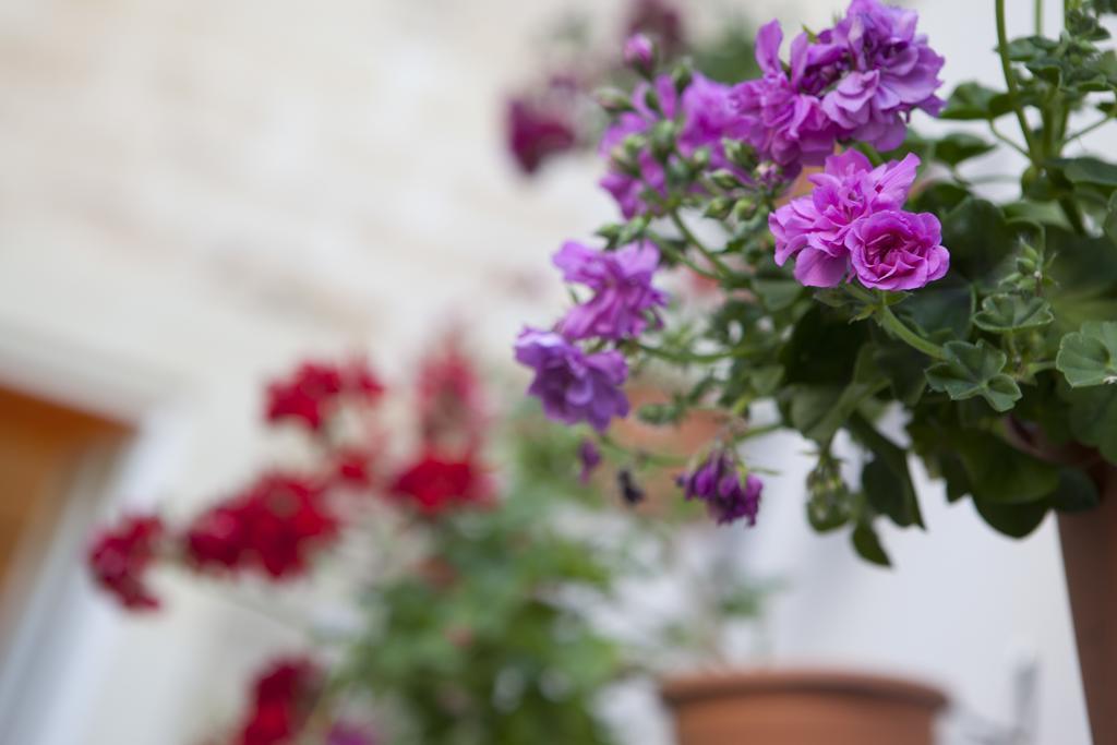 19Venti Bed & Breakfast Lecce Luaran gambar